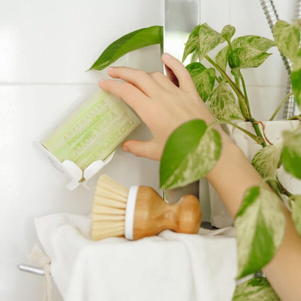 Aloe Vera with Green Tea Extract - Image 3