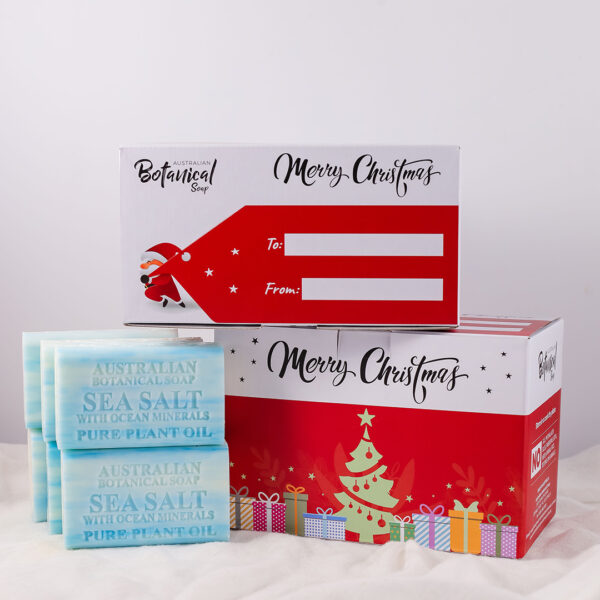 Christmas Gift White Box